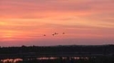 2012.06.06 036 .jpg